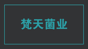 食品行业南京六合区工作服设计款式